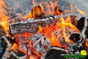 kicmotorsport-season20230142